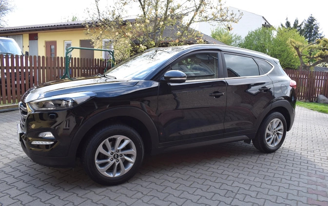 Hyundai Tucson cena 73900 przebieg: 104000, rok produkcji 2016 z Bełżyce małe 466